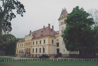 zdjęcie okładki Pałac w Borku Strzelińskim