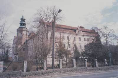 zdjęcie okładki Zamek w Niemodlinie