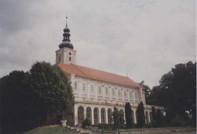 zdjęcie okładki Pałac w Oleśnicy Małej