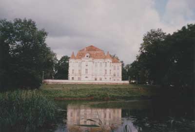 zdjęcie okładki Zamek w Leśnicy