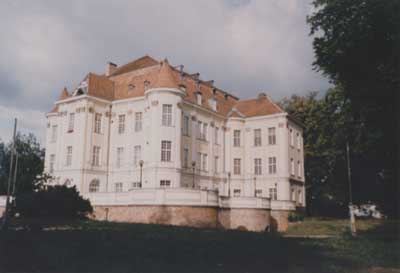 zdjęcie okładki Zamek w Leśnicy.