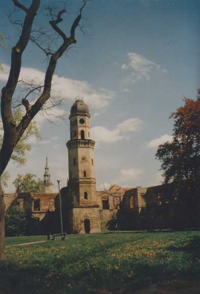 zdjęcie okładki Zamek w Strzelcach Opolskich