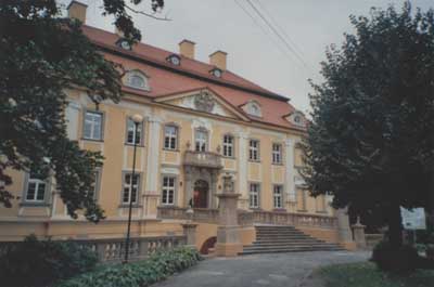 zdjęcie okładki Pałac w Biedrzychowicach
