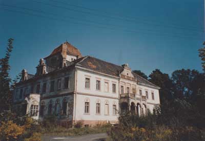 zdjęcie okładki Pałac w Olszynie Dolnej