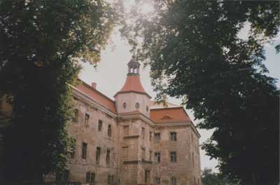 zdjęcie okładki Pałac w Domanicach