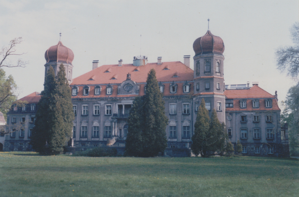 zdjęcie okładki Pałac w Brynku