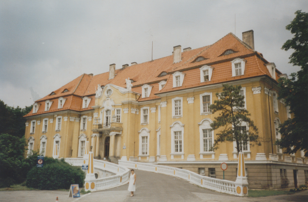 zdjęcie okładki Pałac w Kochcicach