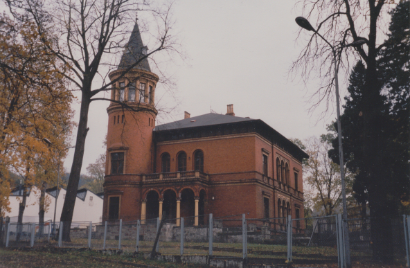 zdjęcie okładki Pałac w Głuszycy