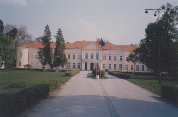 zdjęcie okładki Pałac w Brzegu Dolnym