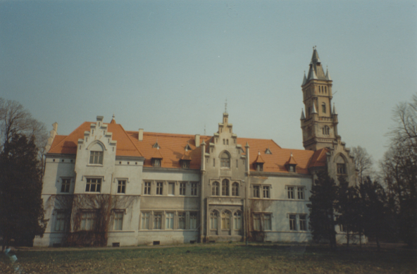zdjęcie okładki Pałac w Nakle Śląskim