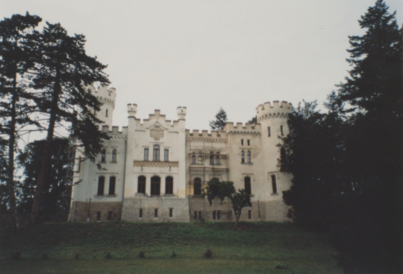 zdjęcie okładki Pałac w Myśliborzu