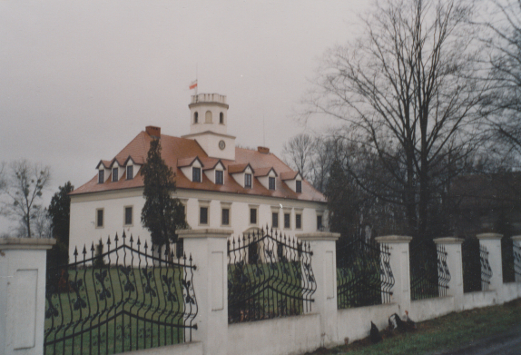 zdjęcie okładki Pałac w Wierzbiu