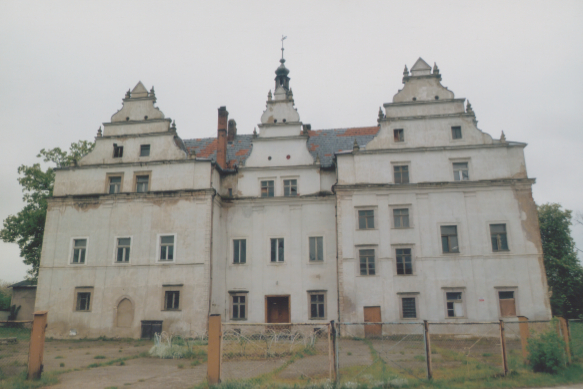 zdjęcie okładki Pałac w Wilkowie Wielkim