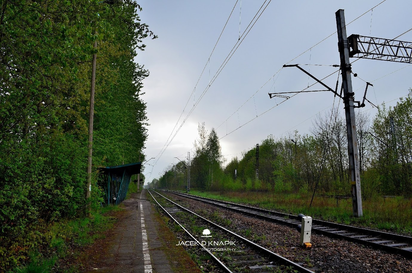 zdjęcie okładki Kochłowice - peron